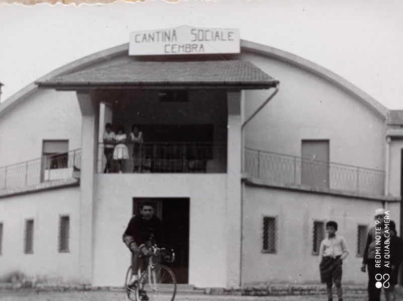 cantina sociale di cembra e aldo moser