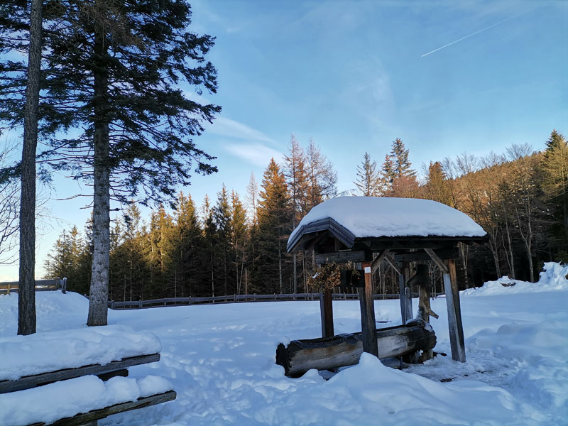 abbeveratoio presso baita forestale cembra