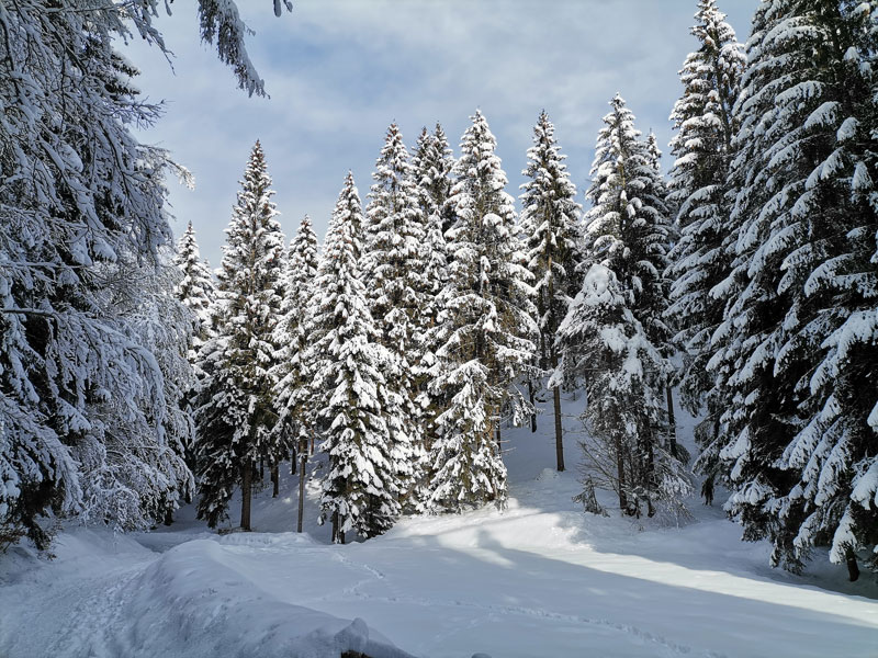 paesaggio invernale zona di cembra