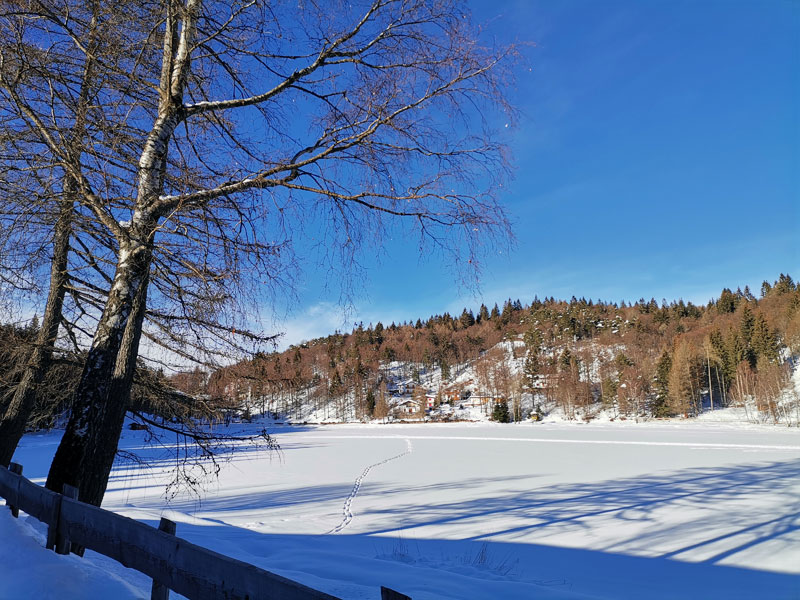 veduta del lago santo di cembra in inverno