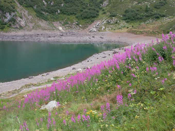 laghetto di montagna